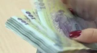 Senatorii din Comisia Juridică vor decide dacă cer modificarea Legii privind Răspunderea Personalului din BNR