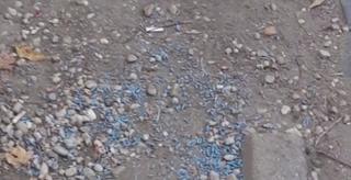 În cele mai mari parcuri din Capitală s-a găsit otravă