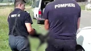 Câine salvat din smoală întărită, în Zărneşti