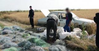 Braconajul continuă să facă ravagii în Delta Dunăriii şi Marea Neagră!