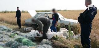 Braconierii fac ravagii în Delta Dunării şi Marea Neagră