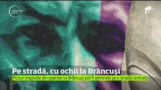 Pe stradă, cu ochii la Bâncuși. Picturi inspirate din operele lui Bâncuși pot fi admirate pe o stradă centrală
