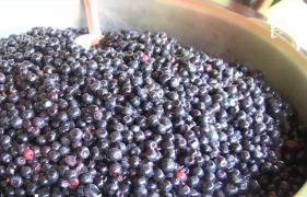 Fructe "la damigeană", preferate de români. În top sunt afinata, vișinata și zmeurata