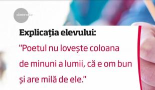 Bacalaureat 2018: texte hilare ale elevilor, la proba scrisă de română