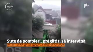 Un copac s-a prăbuşit pe şosea, pe DN1, în Azuga. Sute de pompieri, pregătiți să intervină