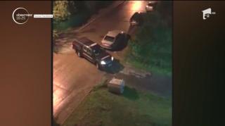 Ursuleț găsit în tomberon, într-un cartier din Buşteni