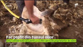 Un bărbat din Alba a deschis o afacere inedită. Face profit din tunsul oilor