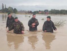 Un pui de căprioară a fost salvat de militari, după ce a fost luat de viitură, la Covasna