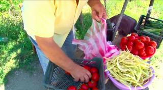 Legume eco vândute din poartă. Sătui să se lupte cu intermediarii, ţăranii vând ce pot la marginea drumului