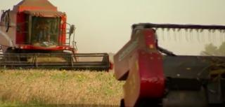 Un şeic arab va controla Insula Mare a Brăilei