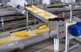 Porumb congelat infestat în Europa. Avertisment privind bacteria care a ucis 9 oameni