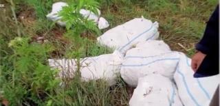 Gest revoltător al unei măicuţe de la o mănăstire din Prahova