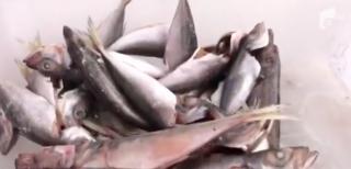 Mizerie şi mâncare stricată pe Litoral, în localuri unde turiştii vin cu încredere