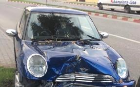 Șoferiță amețită de băutură și droguri! Femeia de 33 de ani a intrat cu mașina într-un copac de pe marginea drumului