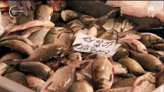 De ce consumă românii mai puţin peşte decât ceilalţi europeni