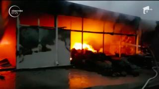 O hală de aproape 600 de metri pătraţi s-a făcut scrum în Bacău