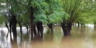 Veşti îngrijorătoare de la hidrologi. Este cod roşu de inundaţii în trei judeţe din ţară