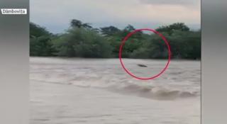 Momente dramatice în judeţele aflate sub incidenţa codurilor