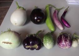 Vinete albe, verzi sau pestriţe în pieţele din România. Noile soiuri ar fi mai sănătoase