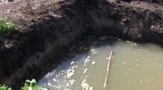 Detalii teribile în cazul celor doi verişori din Vaslui, găsiţi înecaţi într-un iaz. Copiii abia ieşiseră la joacă