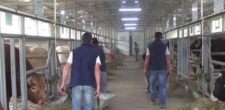 Guvernul le va da bani şomerilor ca să se angajeze