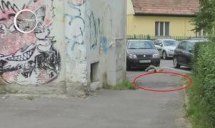 Individul care a înjunghiat în stradă un bătrân din Brașov, acuzat de tentativă de omor