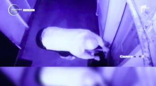 Este alertă la Târgu Jiu. Un piroman este în libertate, iar Poliţia cere ajutorul locuitorilor din zonă, pentru identificarea lui