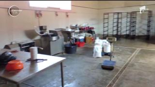 Mizerie de nedescris la cea mai mare hală de carne din Târgu-Jiu! Inspectorii au închis unitatea