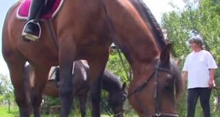 Vacanță cu activități în aer liber. Un medic veterinar din Mureș organizează acasă cursuri de călărie pentru copii