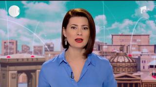 Brăila: Prefectura, Gărda de Mediu, Direcţia Sanitar-Veterinară, pompieri şi jandarmi, mobilizați pentru a prinde o vulpe