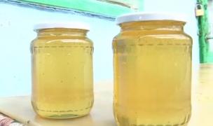 An amar pentru mierea românească. Albinele dispar pe capete, iar apicultura devine nerentabilă