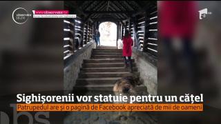 Jimmy, câinele-simbol al Cetăţii Sighişoarei, a încetat din viaţă. Localnicii vor să-i facă o statuie