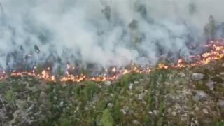 Efectele caniculei de la Cercul Polar: peste 40 de incendii de pădure în Suedia
