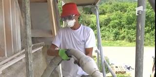 Casele ecologice câştigă teren în România. Construcțiile din cânepă devin, în timp, tot mai rezistente