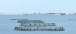 Canalul Dunăre-Bucureşti, un proiect început de Nicolae Ceauşescu este din nou pe masa autorităţilor