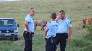 Fetiţa de doi ani din Satu Mare, dispărută după ce a căzut din căruţă, a fost găsită