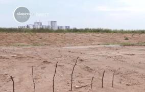 Virusul pestei porcine africane, cauza gardului pe care bulgarii vor să-l ridice la graniţa cu România