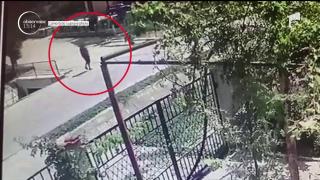 Un bărbat din Constanţa a ajuns în comă la spital, după ce a fost lovit de un cal. Medicii sunt rezervaţi (Video)