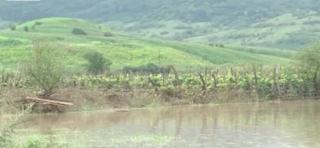 Judeţul Sibiu, răvăşit de furtuni puternice şi inundaţii. Sute de oameni au fost evacuaţi