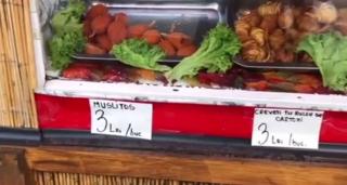 Terase închise și nereguli pe bandă rulantă, pe litoralul românesc