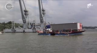 Pesta porcină face ravagii în gospodăriile din Brăila. Autorităţile iau măsuri drastice