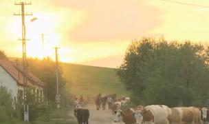 "Avem o ţară frumoasă, cum ajungem la ea" - Viscri, satul preferat de Prințul Charles