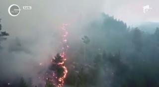 Valul de caniculă continuă să facă ravagii! În Germania, pista unui aeroport pur şi simplu s-a topit