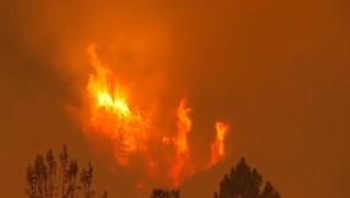 Donald Trump a decretat stare de urgenţă în California, în urma marelui incendiu. Alte trei persoane au murit