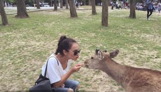 Joburi la care călătorești în jurul lumii și câștigi bani