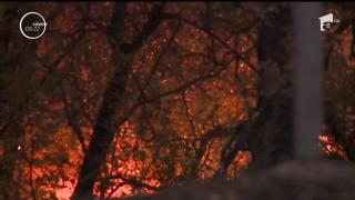 Incendiile care devastează California au făcut încă o victimă. Au ars peste 36.000 de hectare
