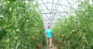 Un român a lăsat Italia pentru o afacere bio, în România