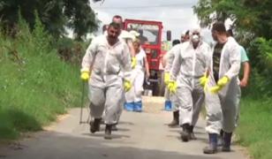 Pesta porcină face ravagii în mai multe judeţe din ţară! Autoritățile au confirmat peste 500 de focare