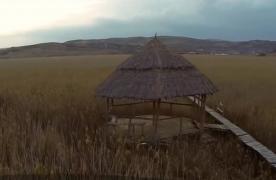 Colț de rai în "Delta Ardealului" - Stufărişurile de la Sic