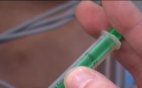 Din cauza vremii albinele şi viespile sunt mai agresive în această perioadă. Înțepătura poate fi fatală